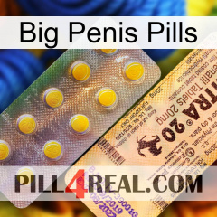 Big Penis Pills new06